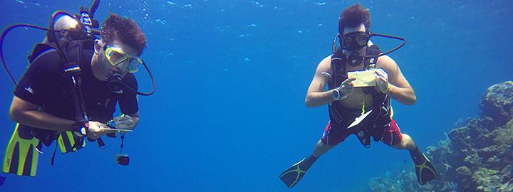 Students scuba diving